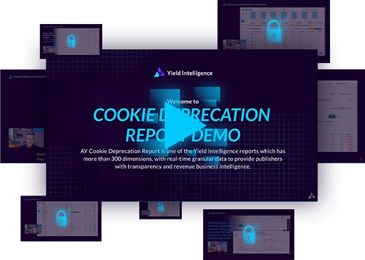 [Demo] Cookie Deprecation Report: Explore the Impacts on Performance 